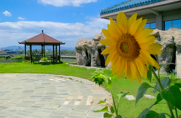 IMG 20150701 124540 AO HDR