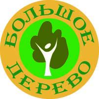 Logo Big tree 